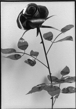 Kunst Rose